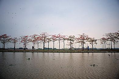 集英社生存建造新作《Project Survival》Steam页面上线 不支持简中